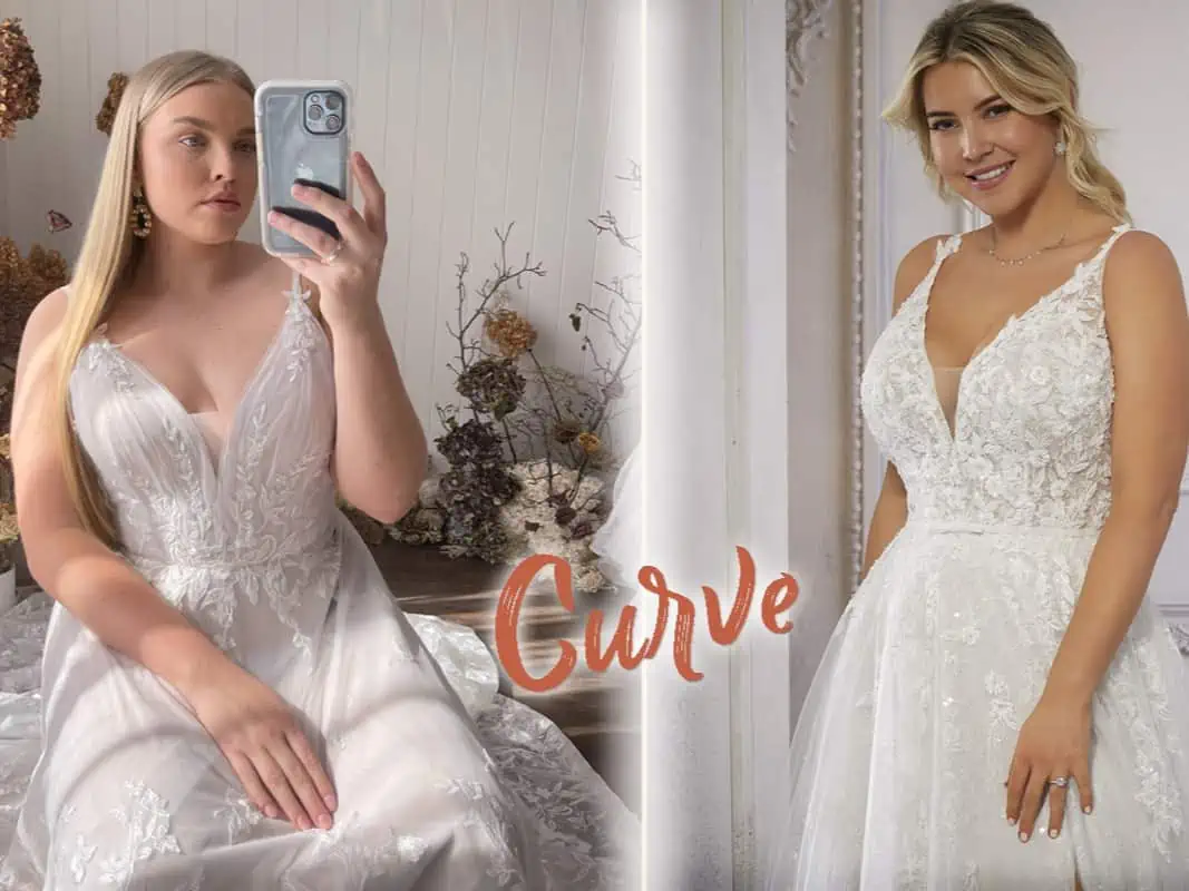 Madi Lane Curve - Plus size kollekcióról szóló cikk főfotója