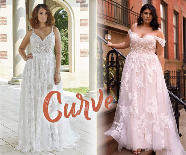 Plus size kollekció fő oldali bannere