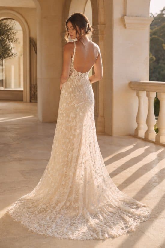 Boho 56 Daisy 2