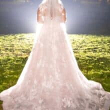 471585195_28007093618936735_8327667728200165952_n (002)