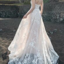 471660125_28007093888936708_6688291656732435896_n (002)